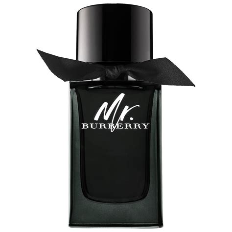 parfum mr burberry homme prix|mr Burberry perfume price.